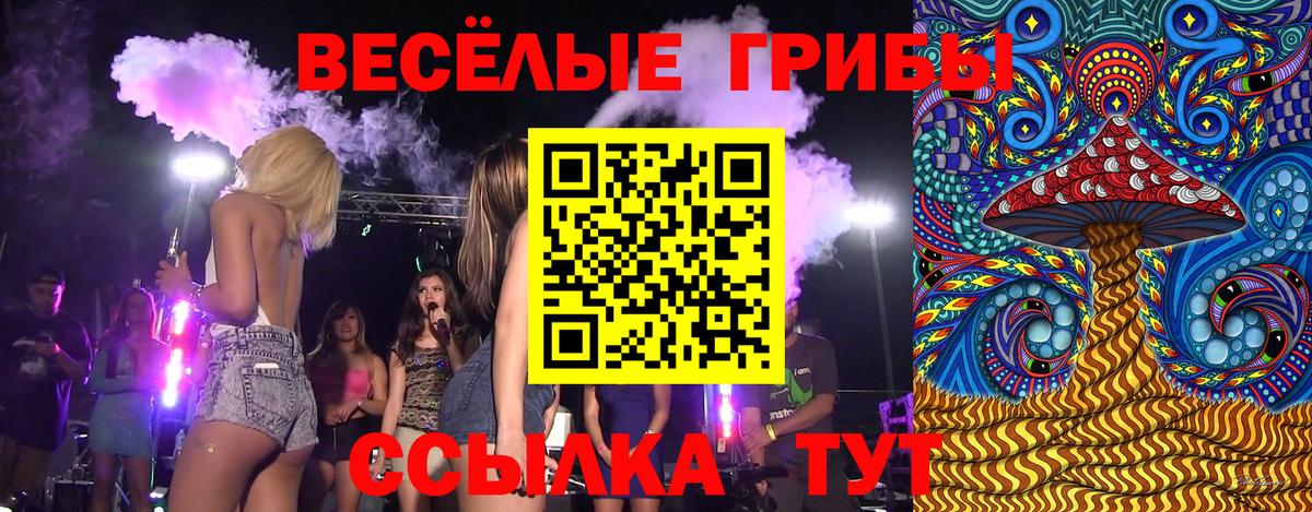 Псилоцибиновые грибы Psilocybe  Псилоцибиновые грибы прущие грибы  Вход с VPN  Абинск 
