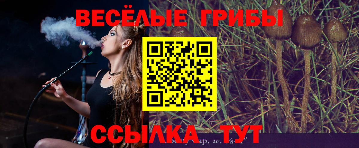 Псилоцибиновые грибы Magic Shrooms Абинск